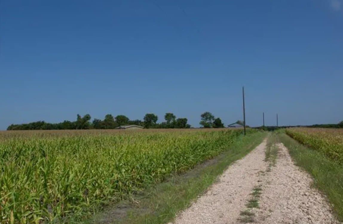 59.2 acres in Hill County - photo 23