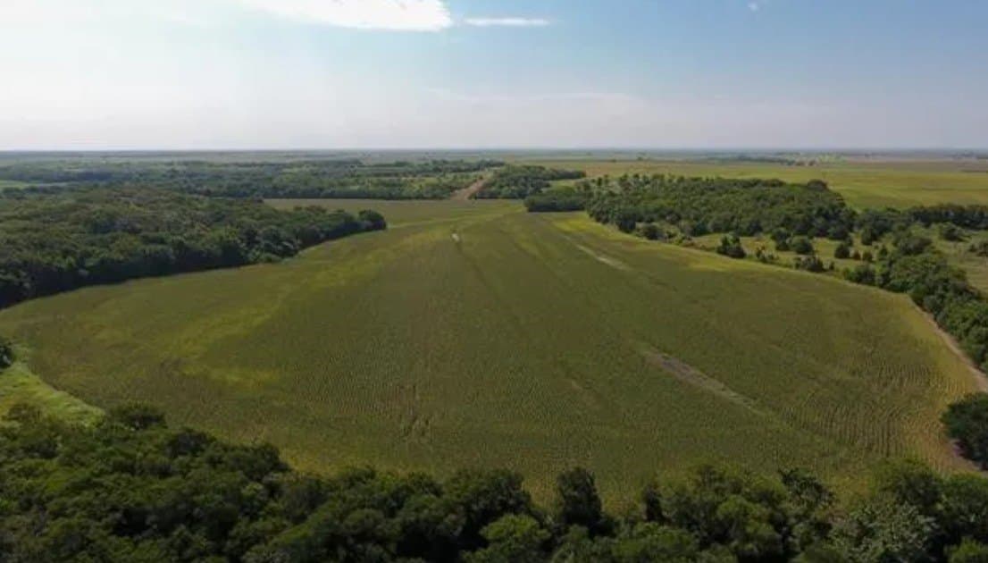 59.2 acres in Hill County - photo 12