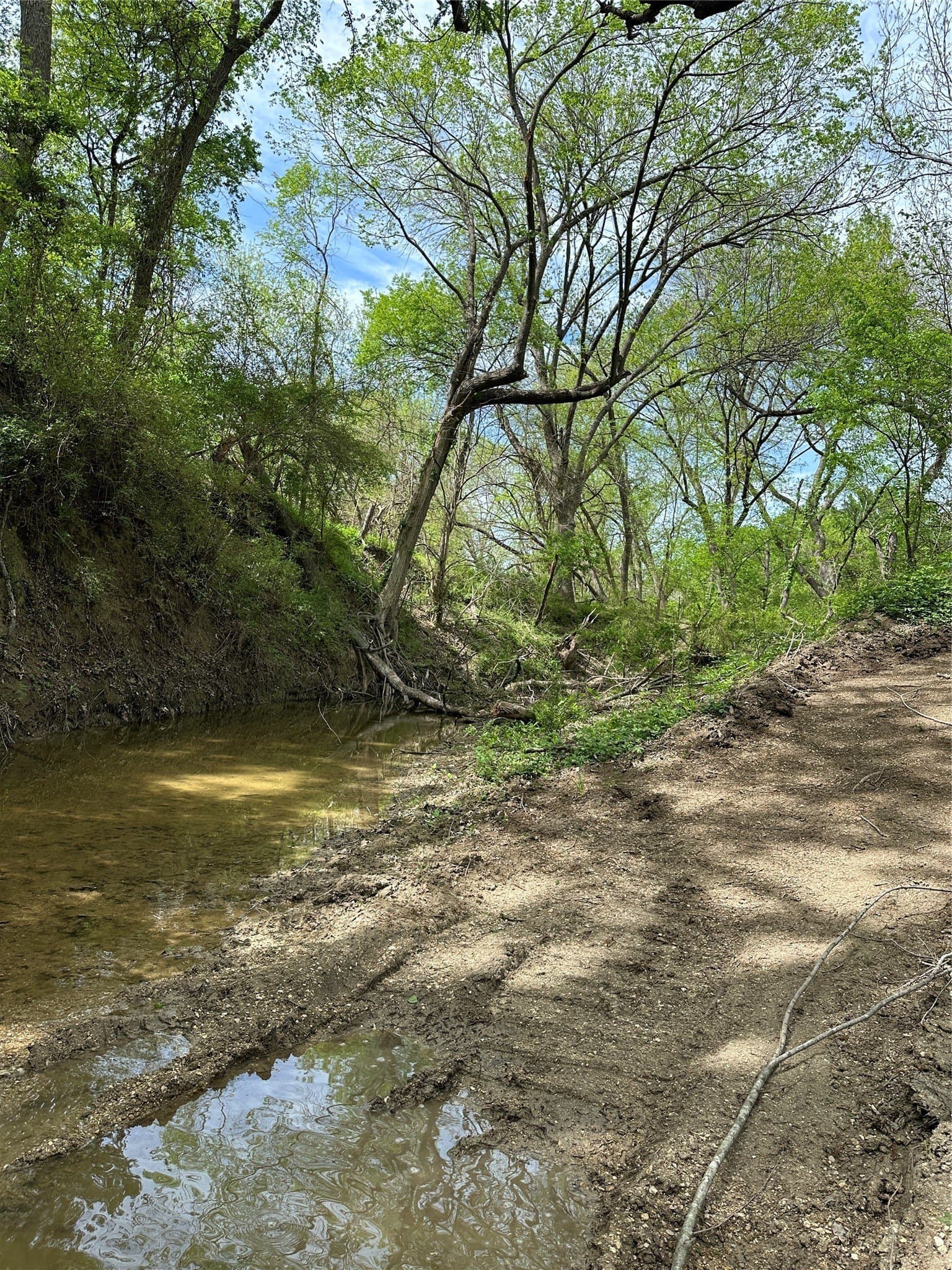 59.2 acres in Hill County - photo 27