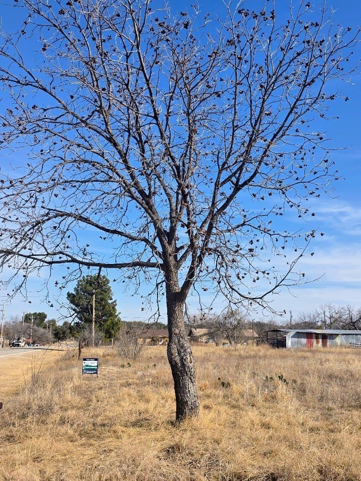 0.76 acres in Irion County gallery image 3