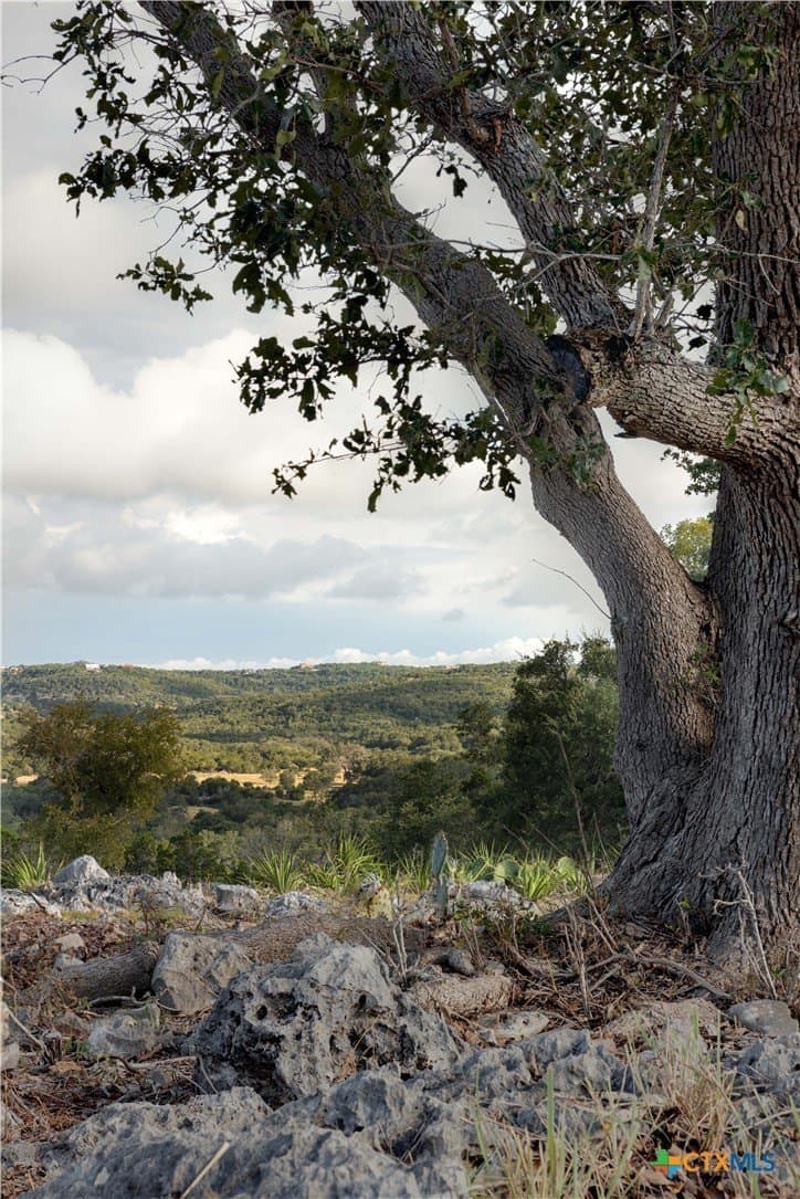 2.33 acres in Comal County - photo 17