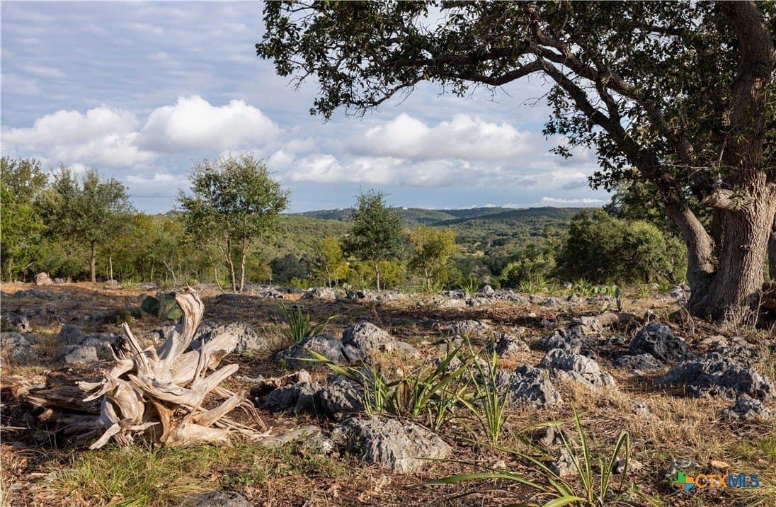2.33 acres in Comal County - photo 7