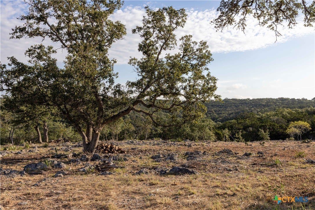 2.33 acres in Comal County gallery image 2