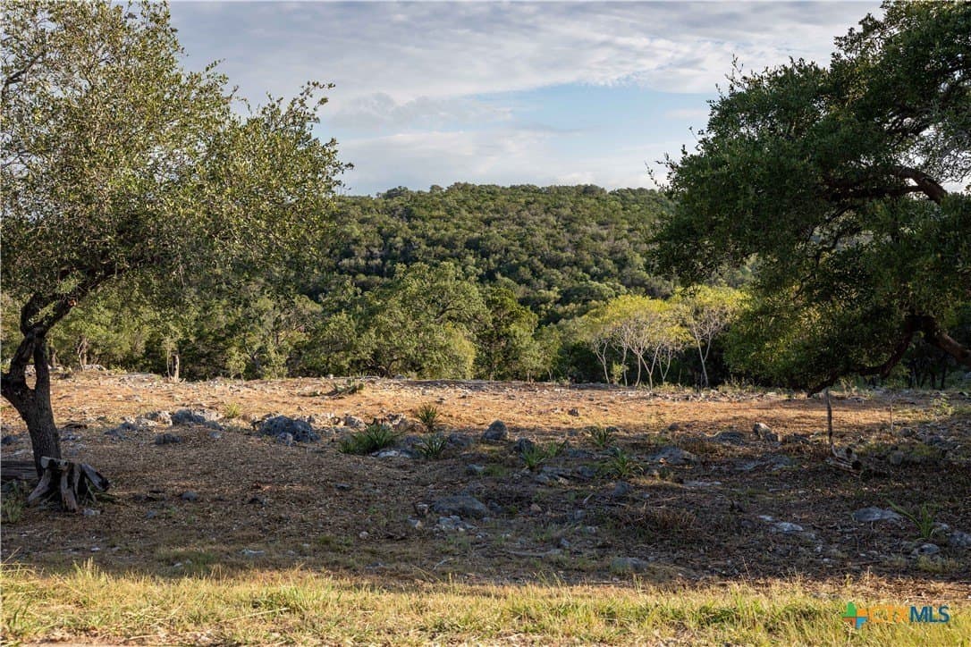 2.33 acres in Comal County gallery image 3