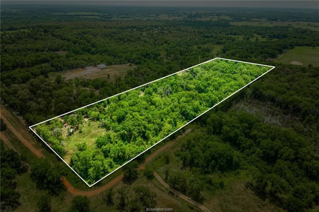 10.05 acres in Burleson County gallery image 2