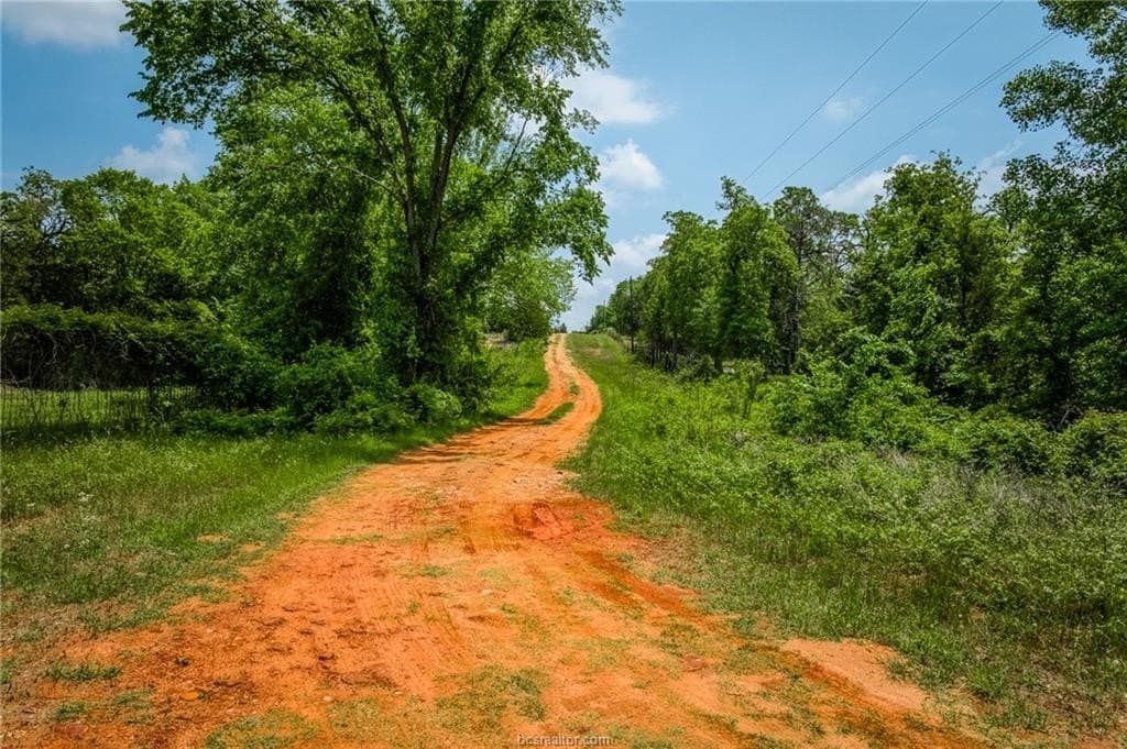 10.05 acres in Burleson County gallery image 4