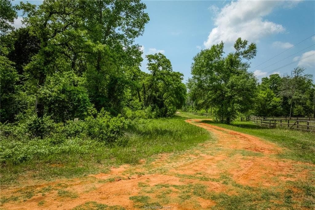 10.05 acres in Burleson County gallery image 3