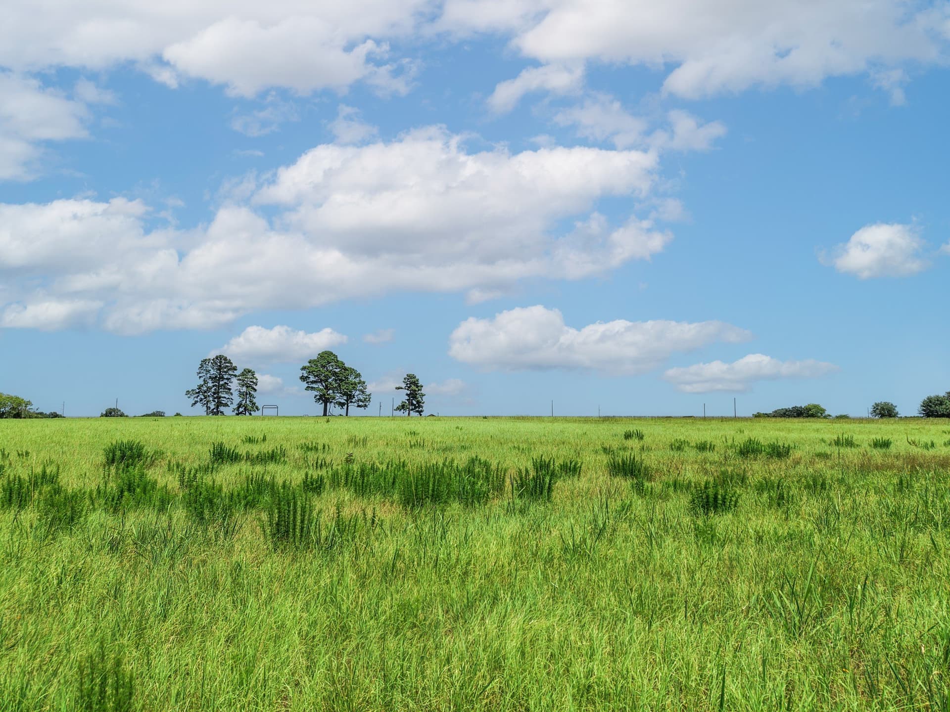 15.44 acres in Van Zandt County - photo 23