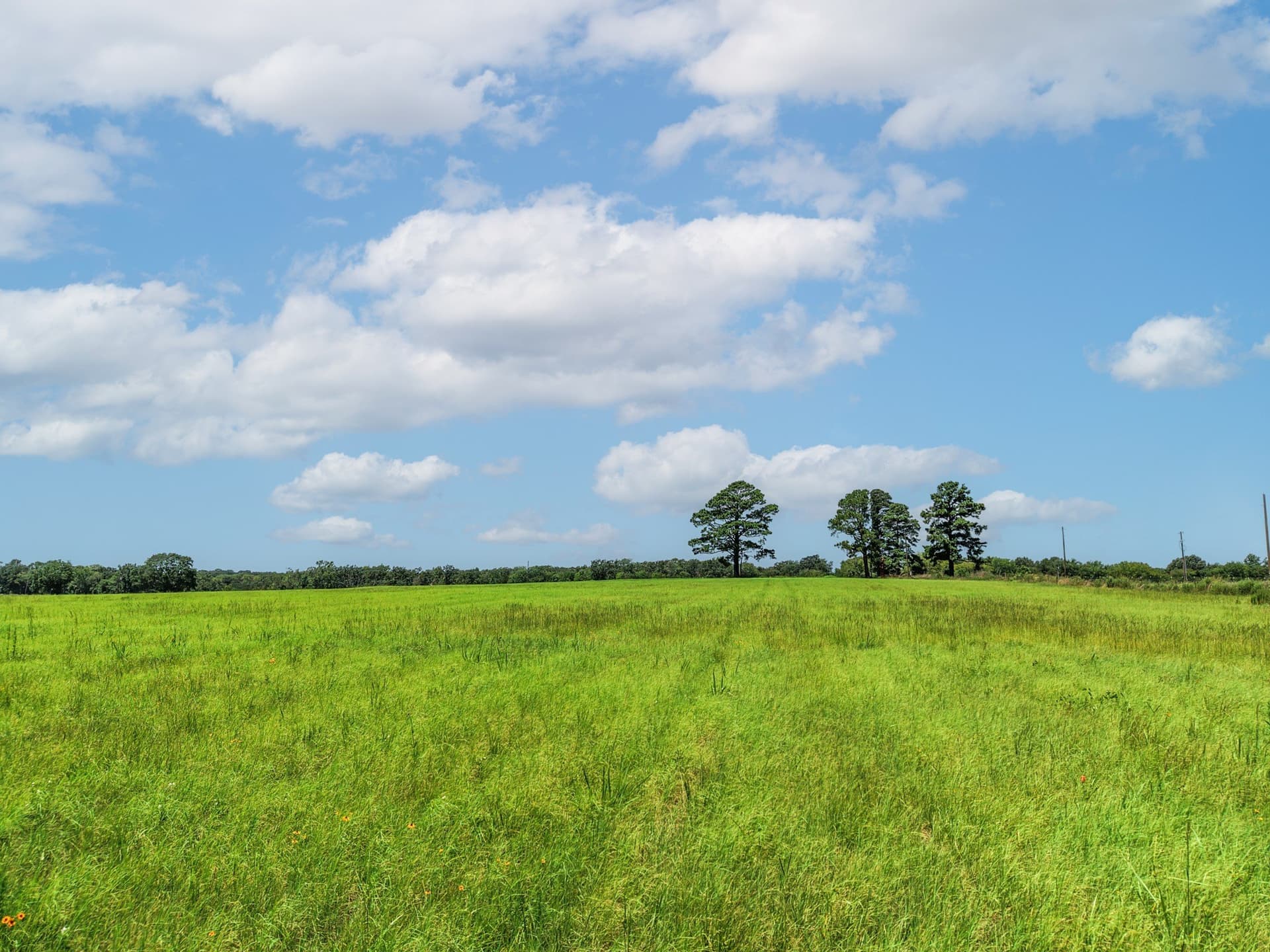 15.44 acres in Van Zandt County - photo 13