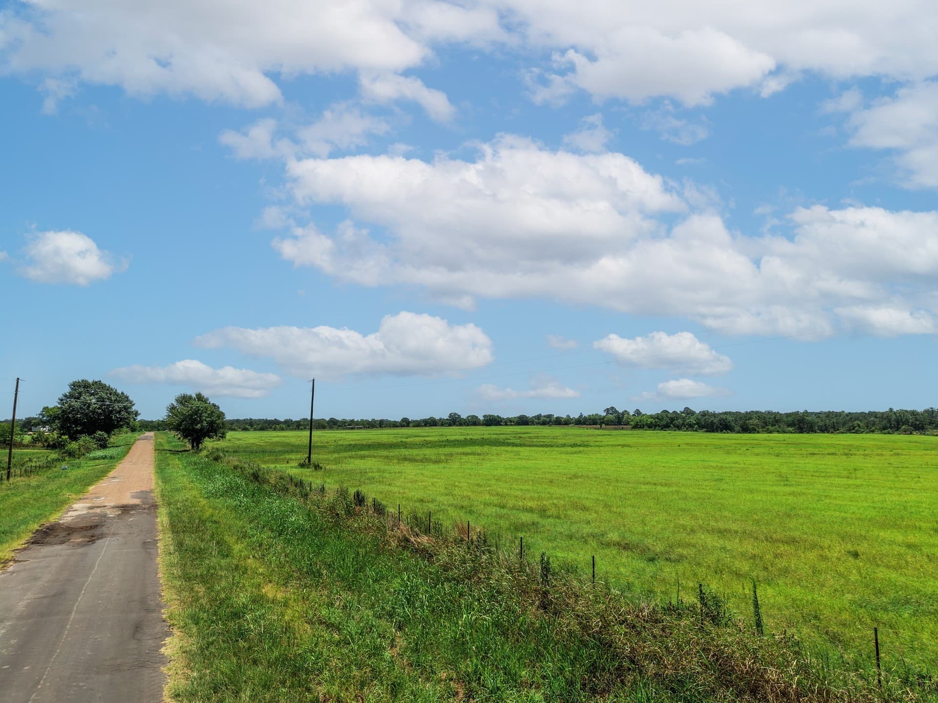 15.44 acres in Van Zandt County - photo 12