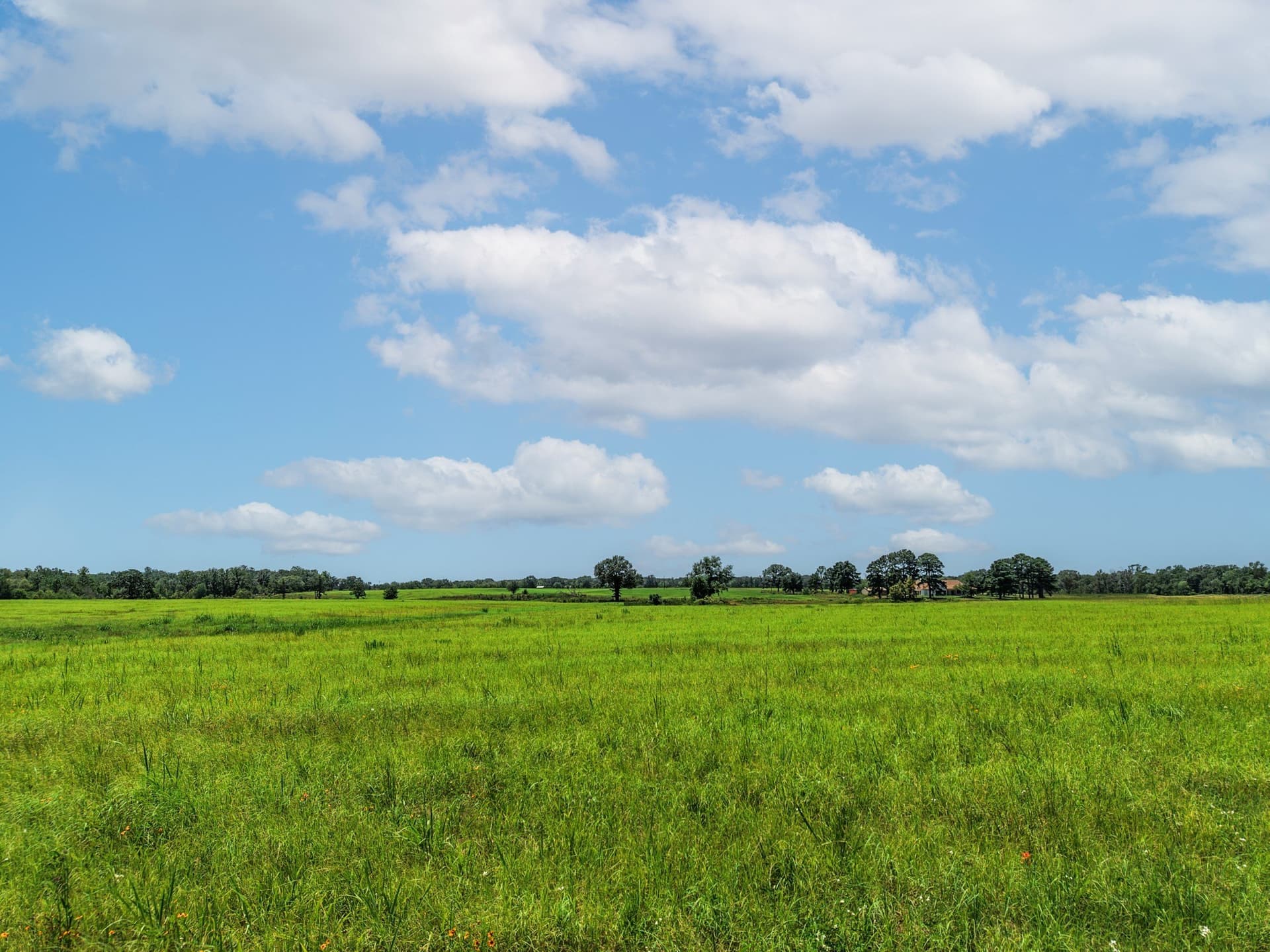 15.44 acres in Van Zandt County - photo 14