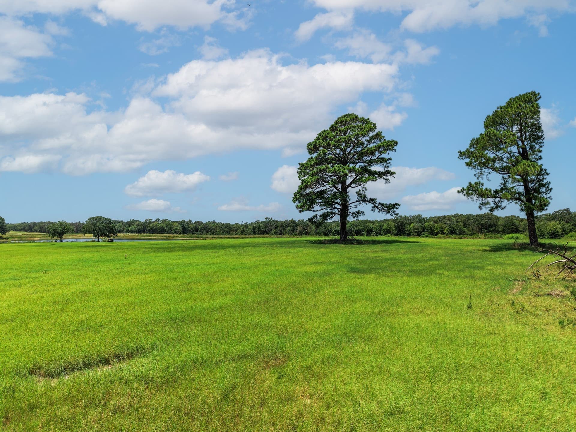15.44 acres in Van Zandt County - photo 26