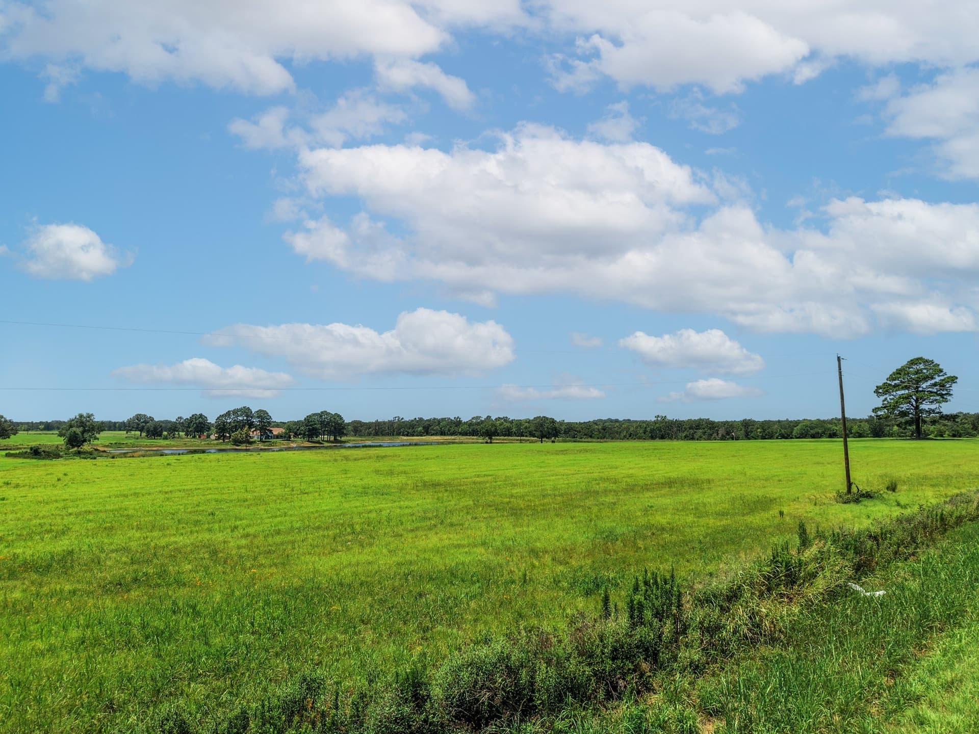 15.44 acres in Van Zandt County - photo 10