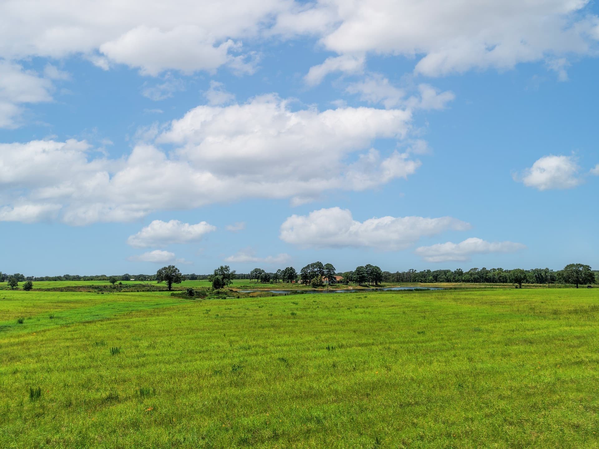 15.44 acres in Van Zandt County - photo 15