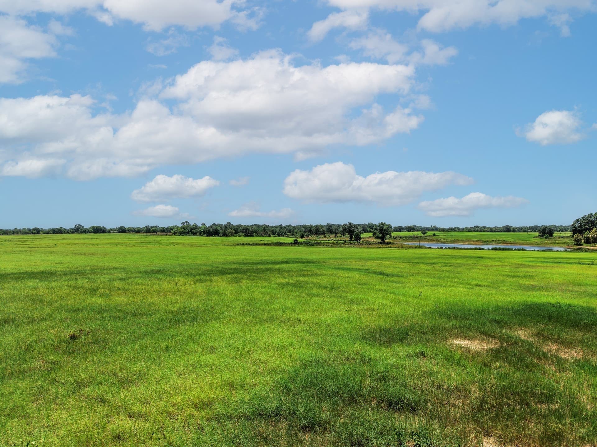 15.44 acres in Van Zandt County - photo 25