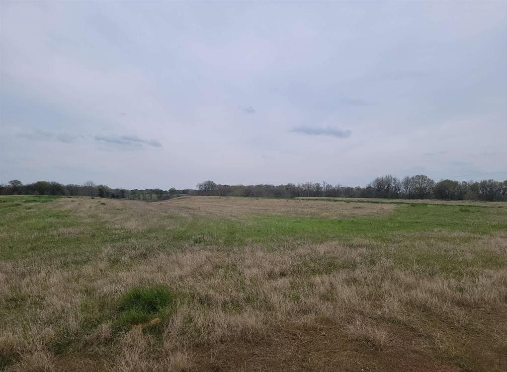 80.11 acres in Camp County - photo 3
