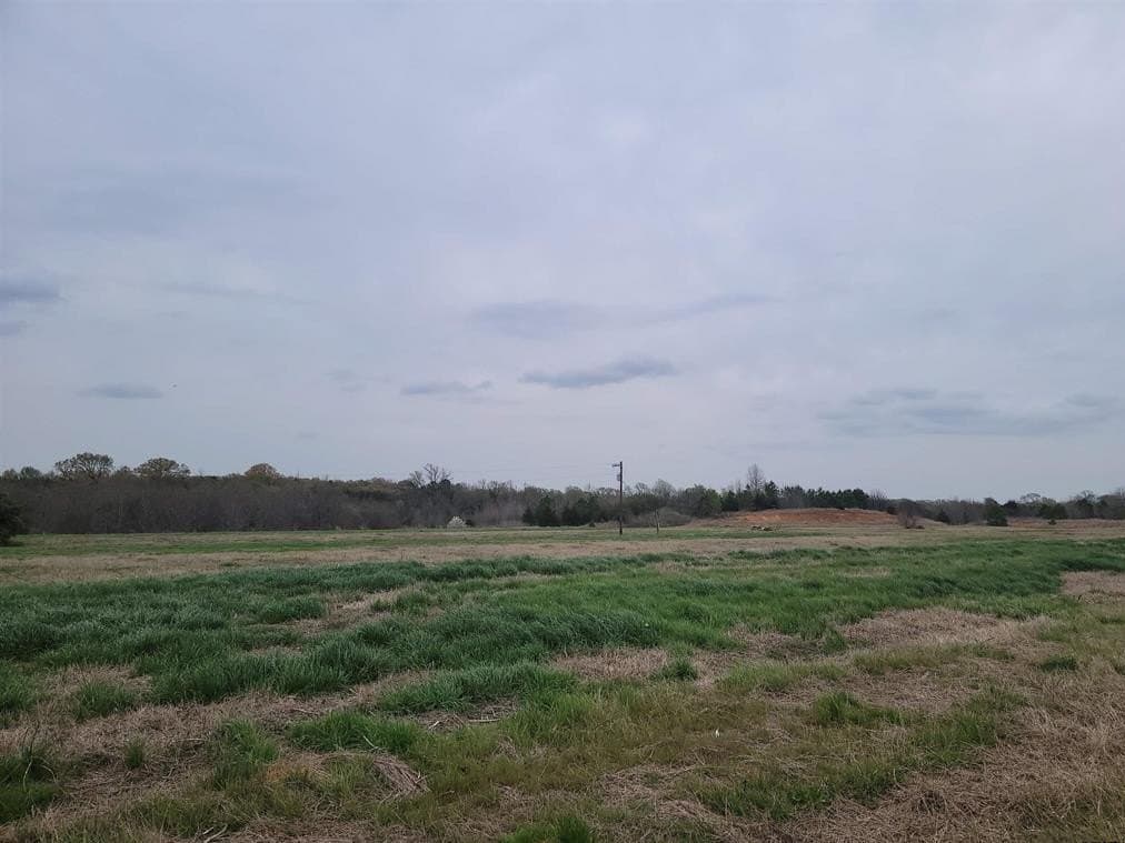 80.11 acres in Camp County - photo 2