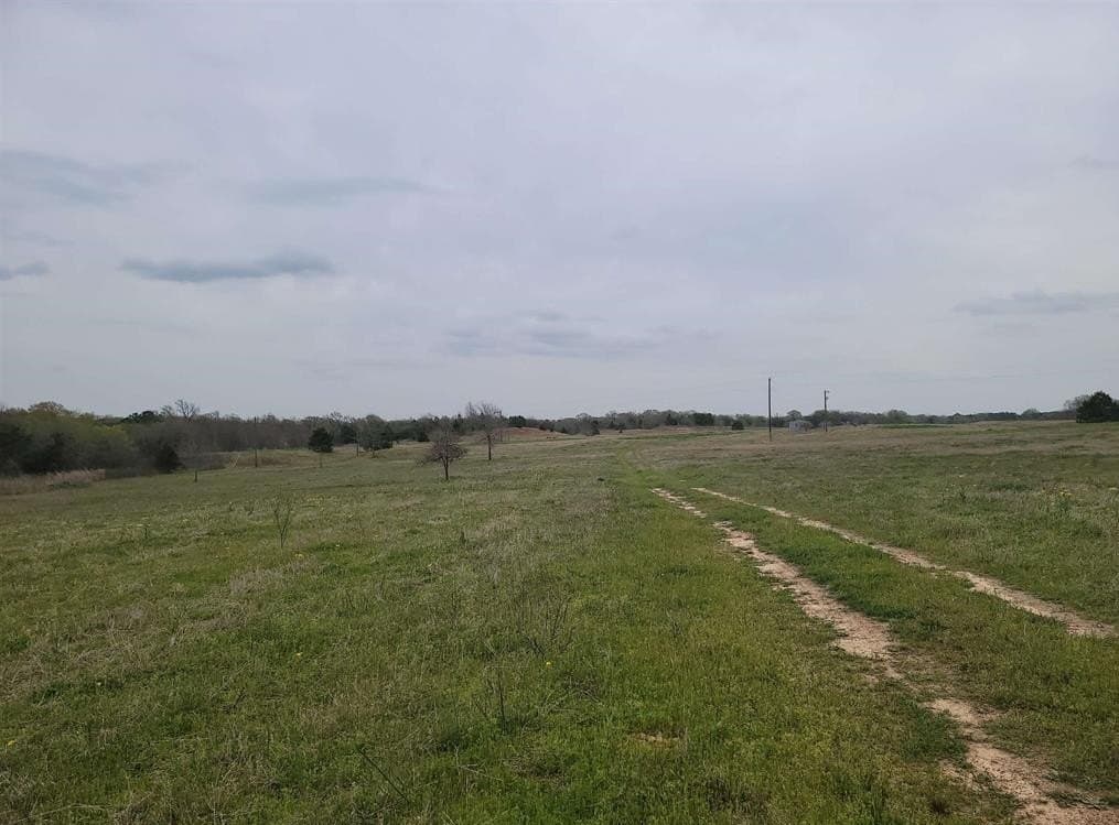80.11 acres in Camp County - photo 4
