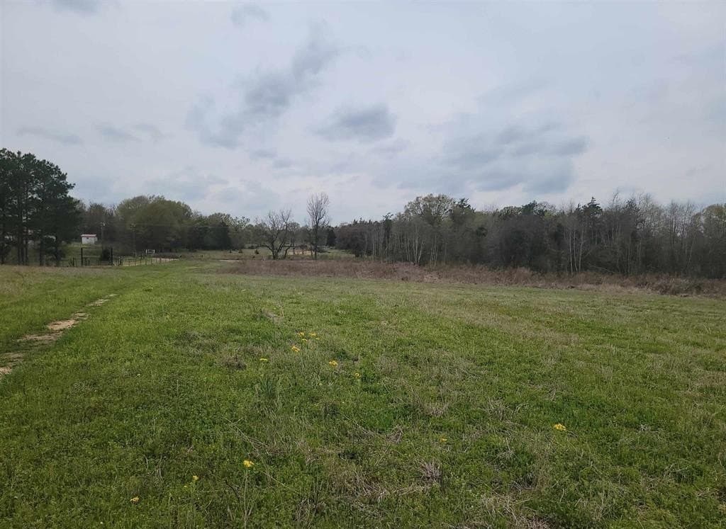 80.11 acres in Camp County - photo 7