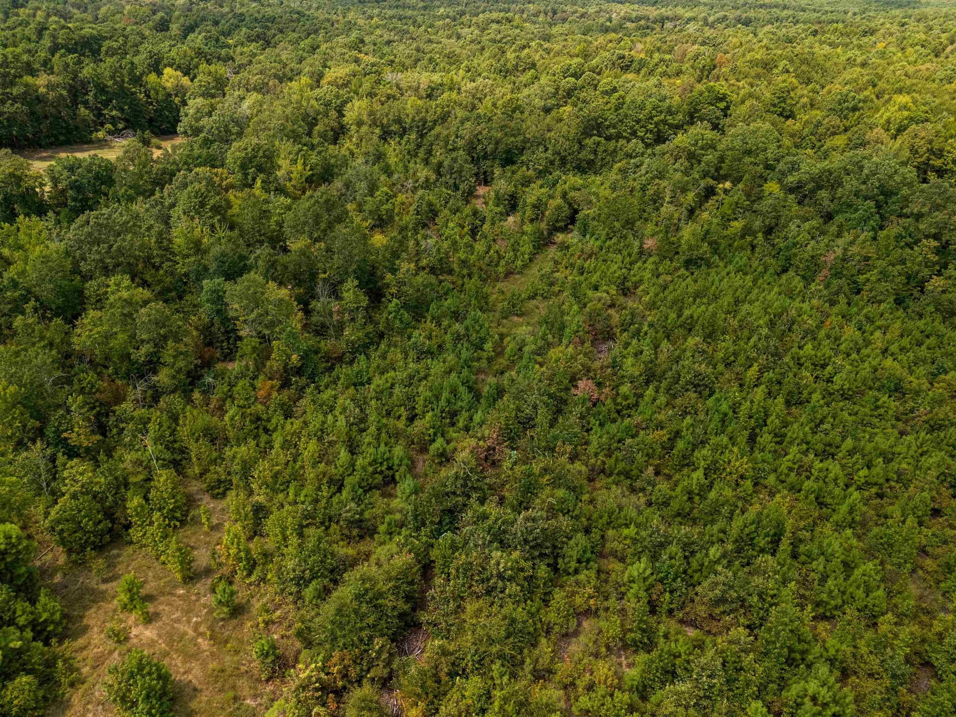 13.1 acres in Harrison County - photo 10