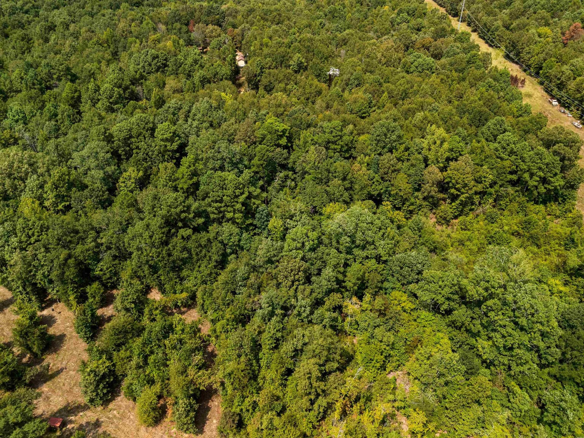 13.1 acres in Harrison County - photo 11