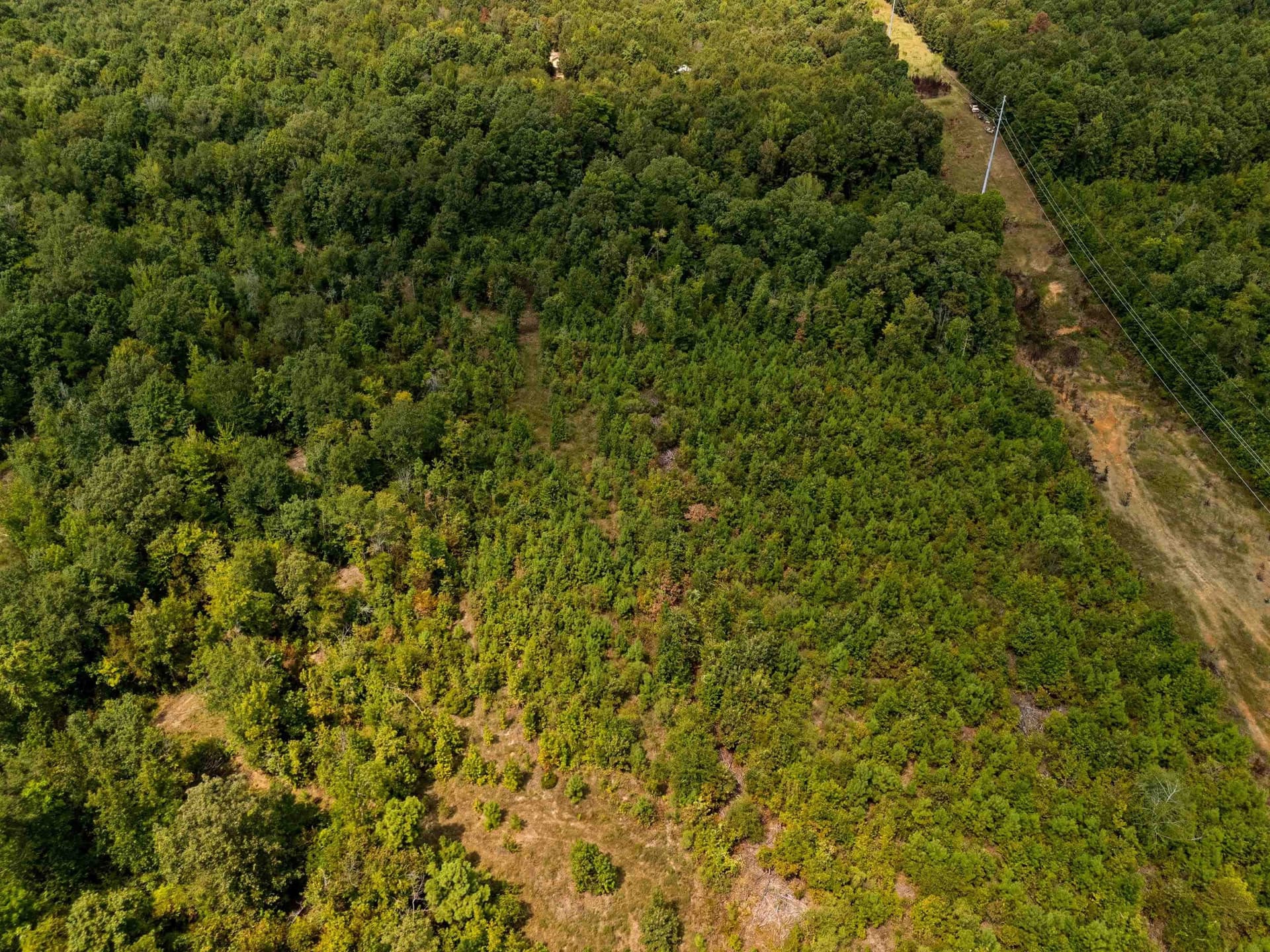 13.1 acres in Harrison County - photo 9