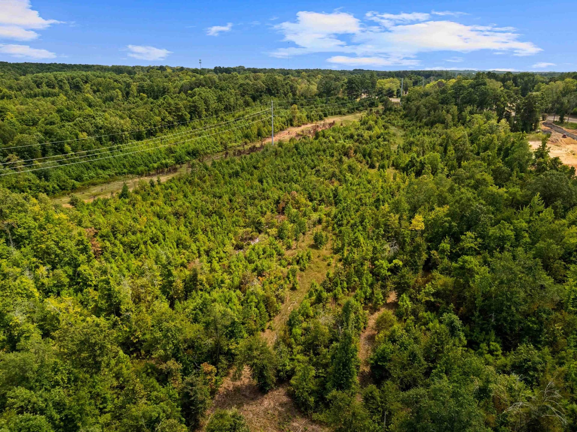 13.1 acres in Harrison County - photo 13