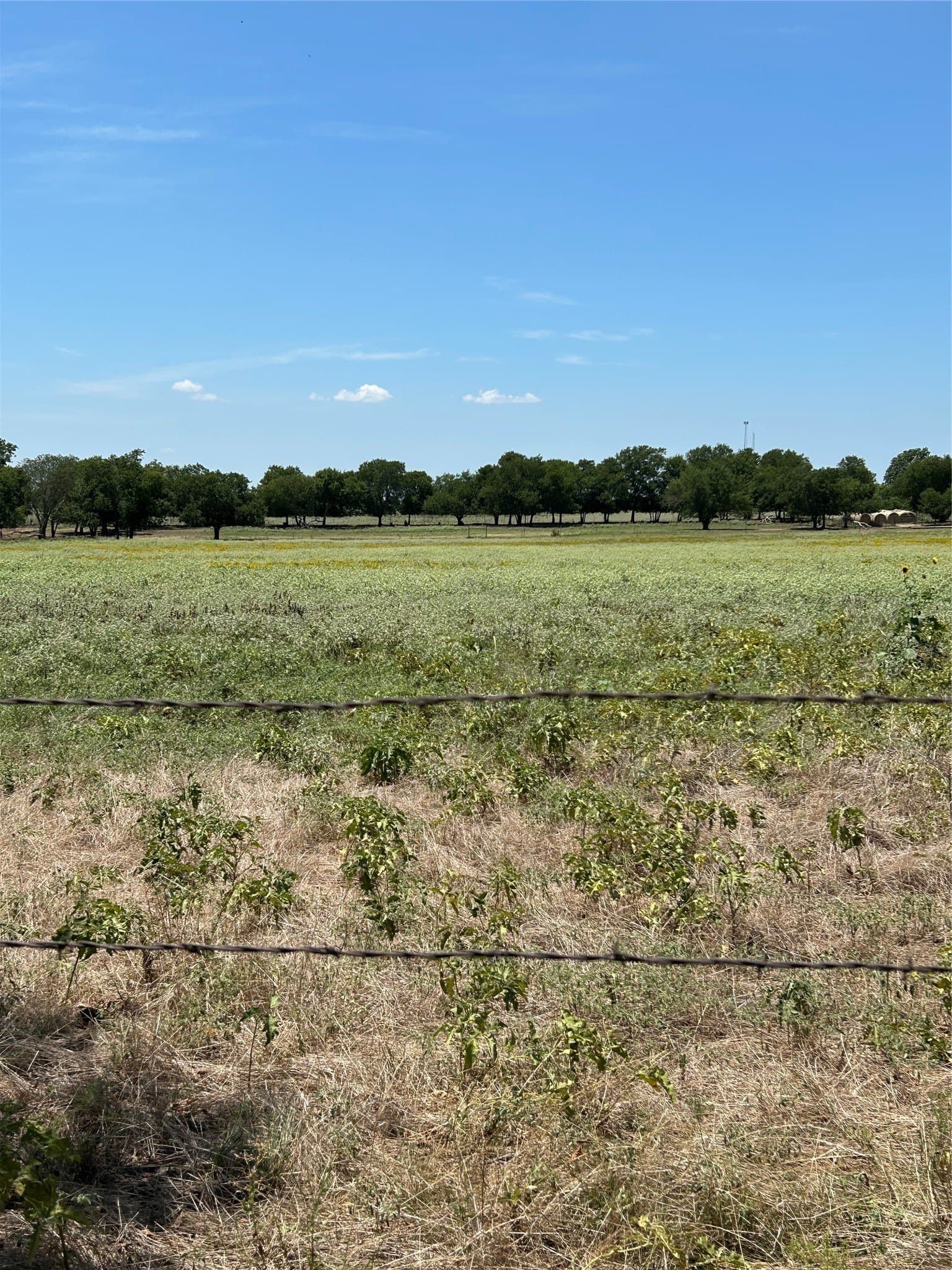 100 acres in Grayson County featured view