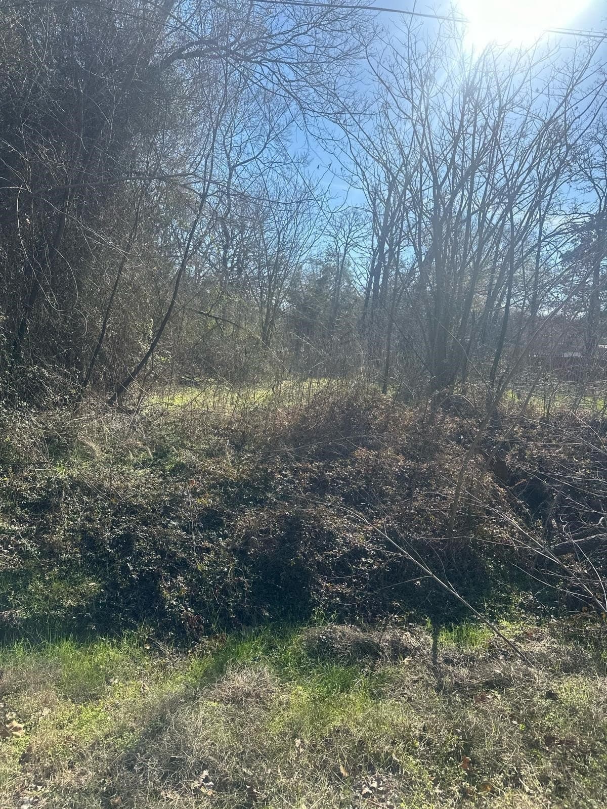 0.11 acres in Henderson County gallery image 3