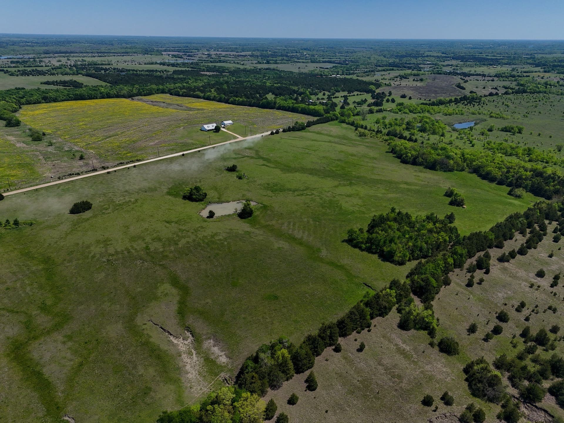 39.69 acres in Lamar County featured view