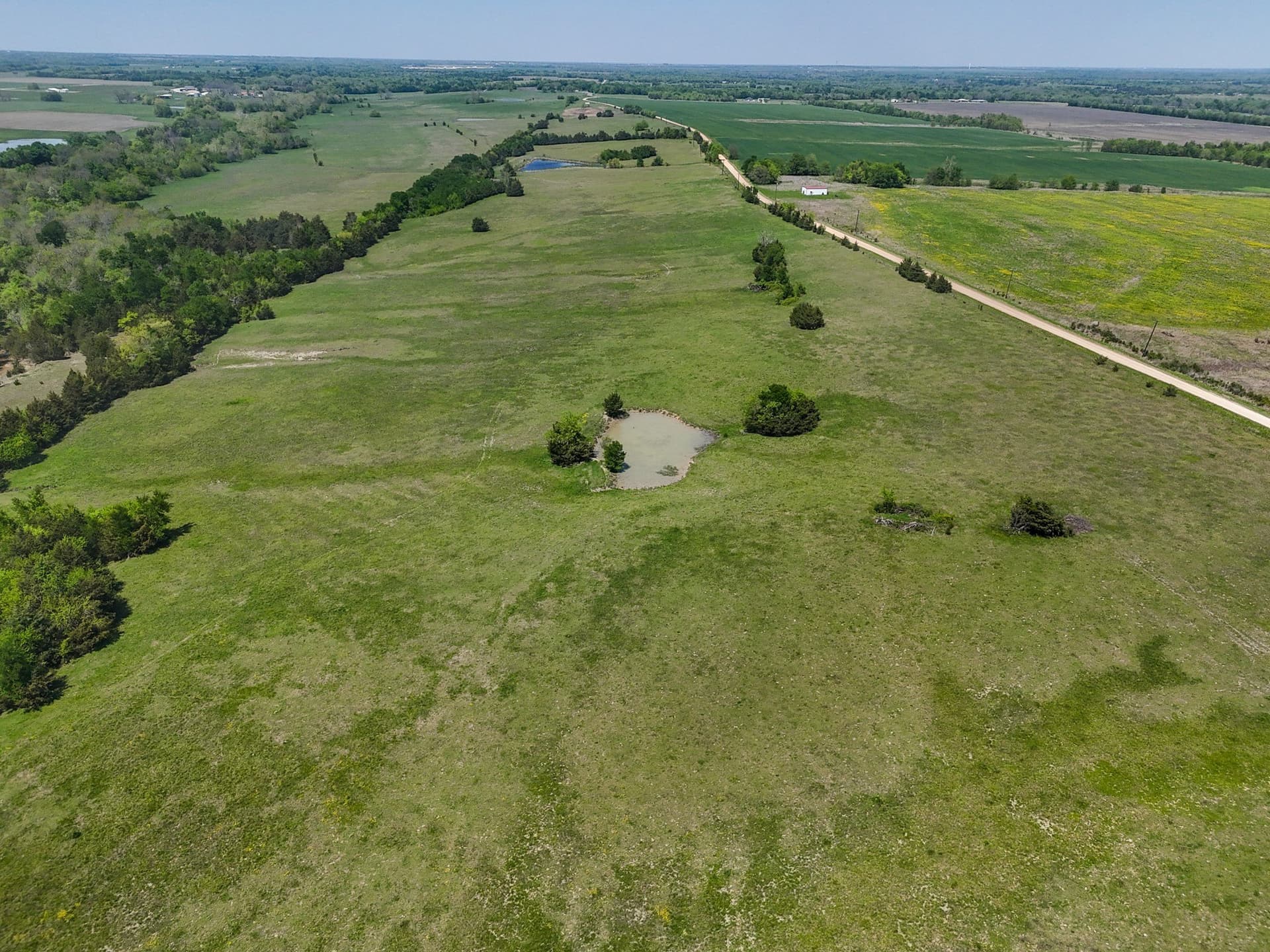 39.69 acres in Lamar County gallery image 2