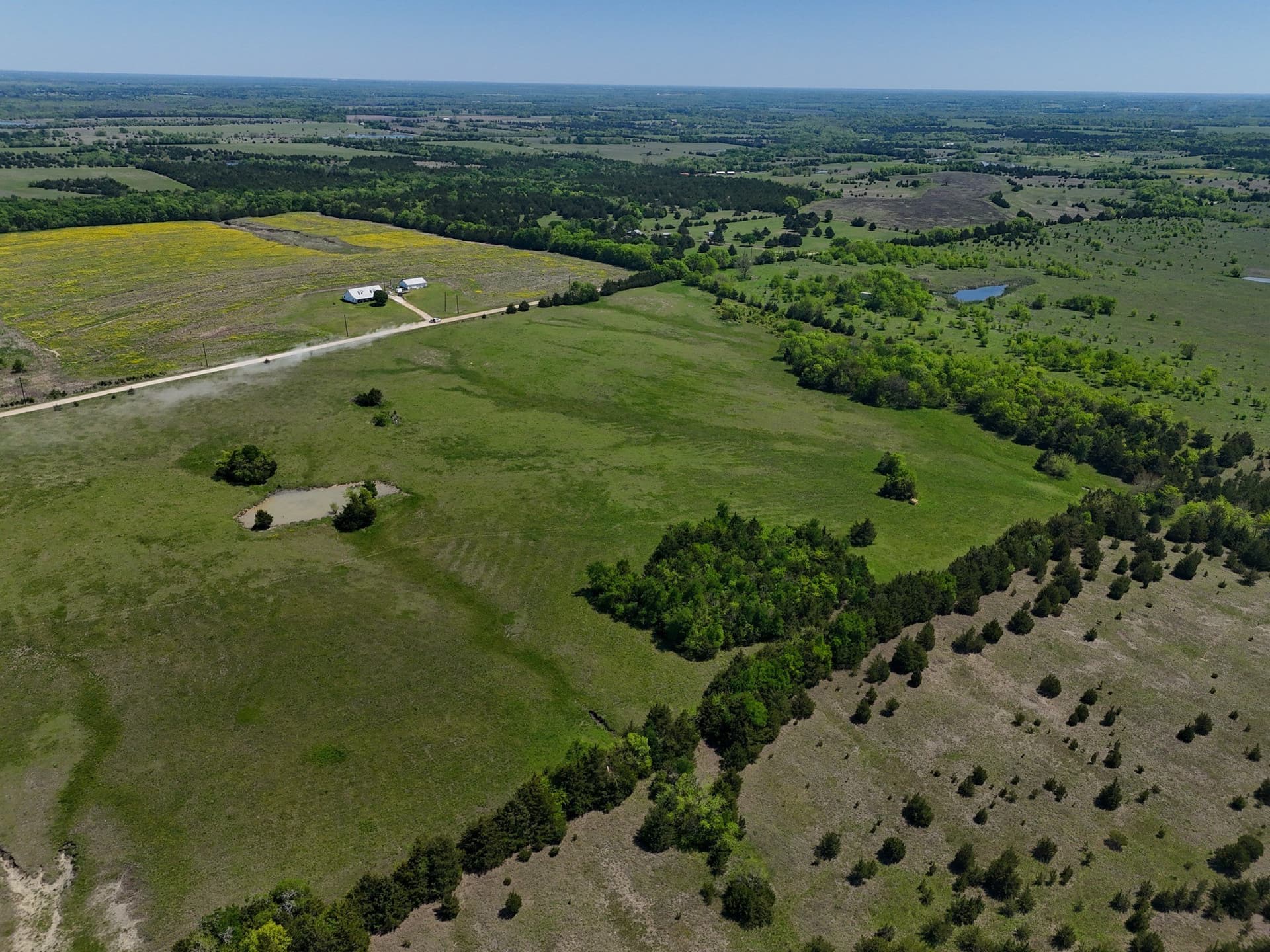 39.69 acres in Lamar County gallery image 4