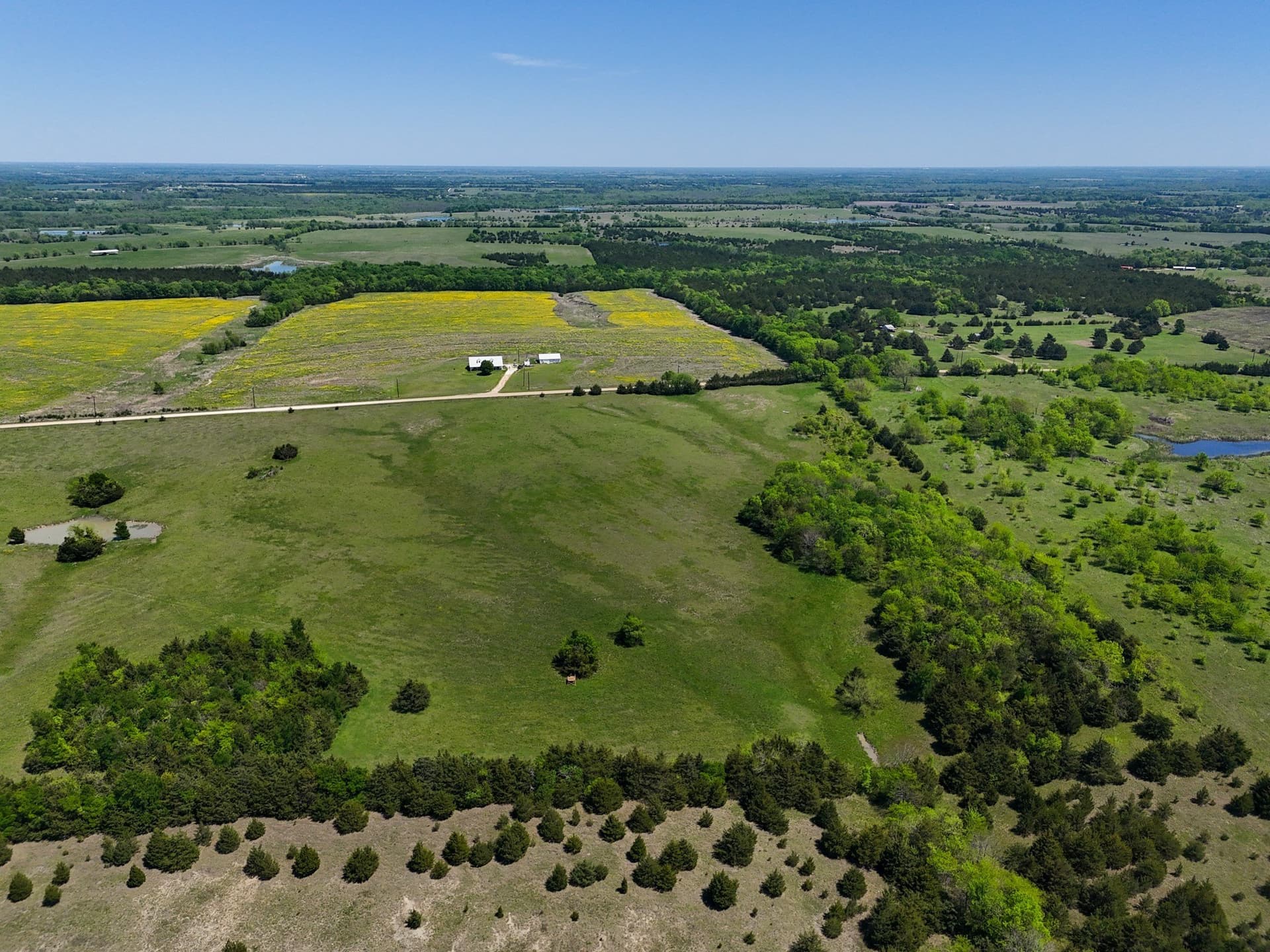 39.69 acres in Lamar County gallery image 3