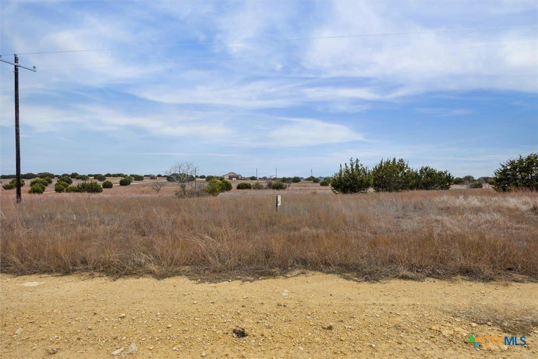 10.01 acres in Lampasas County gallery image 3