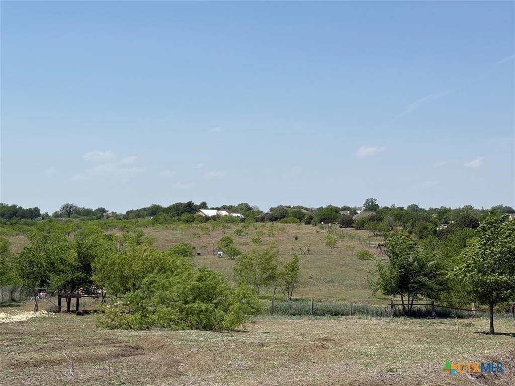 6.03 acres in Williamson County gallery image 3