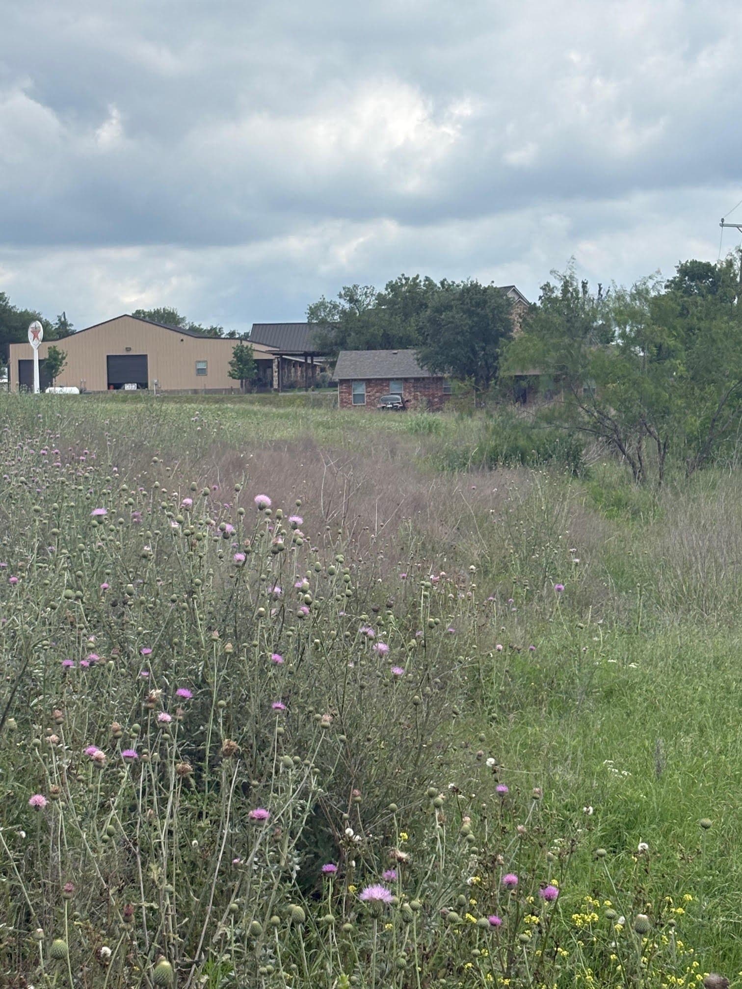 10.15 acres in Ellis County gallery image 4