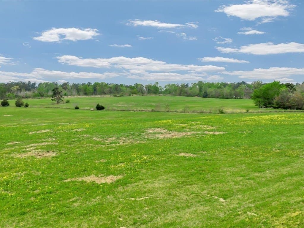 19 acres in Texas County - photo 13
