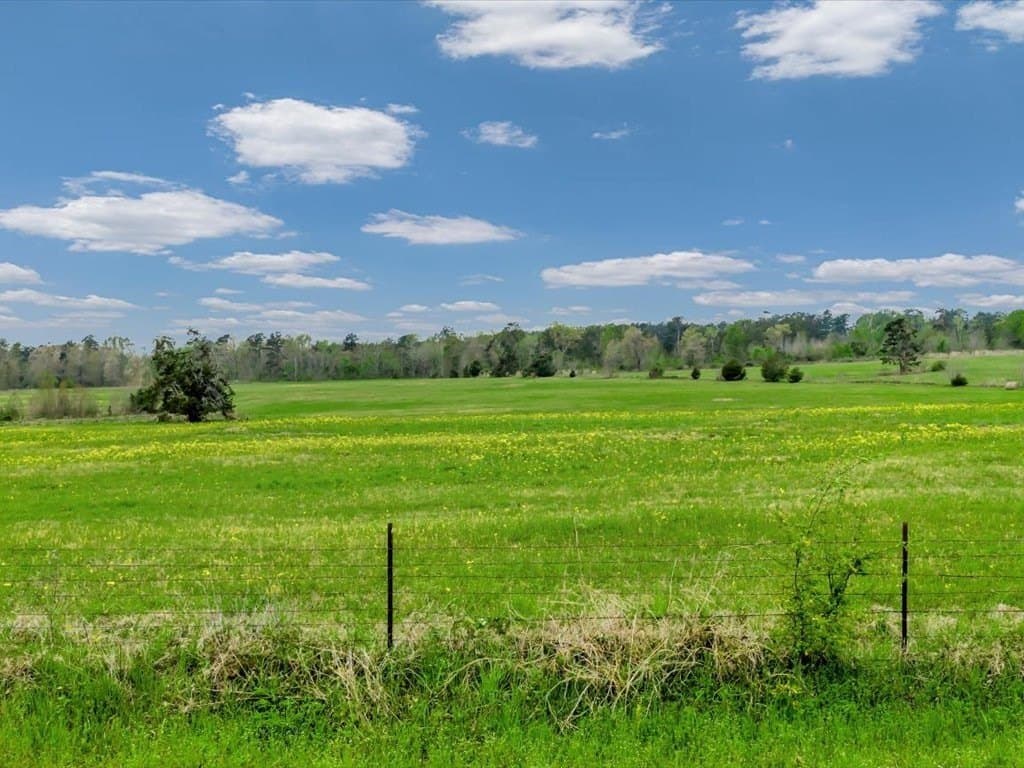 19 acres in Texas County - photo 11