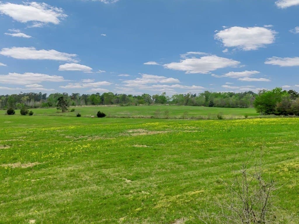 19 acres in Texas County - photo 12