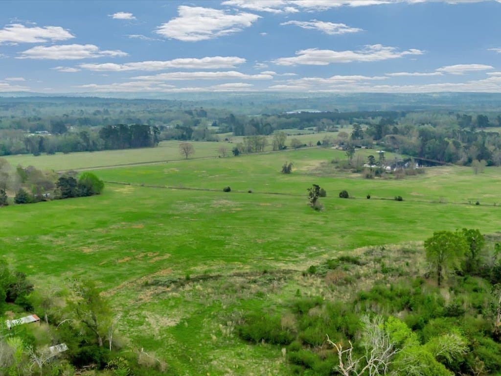 19 acres in Texas County - photo 3