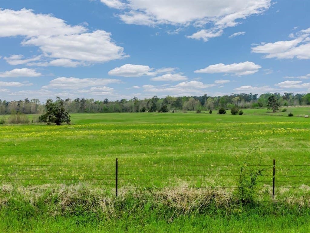 19 acres in Texas County - photo 10