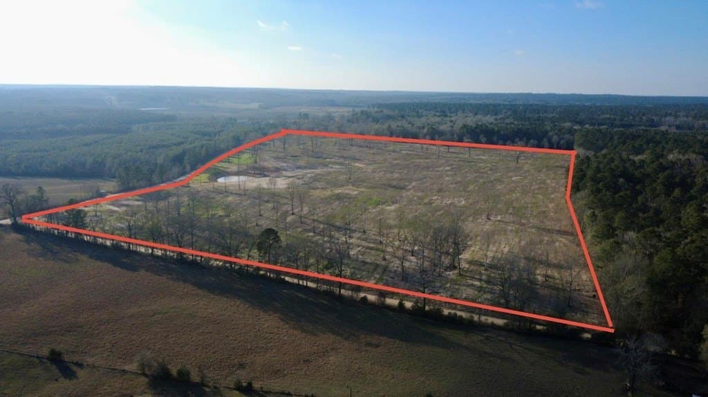 62.97 acres in HOUSTON County gallery image 2