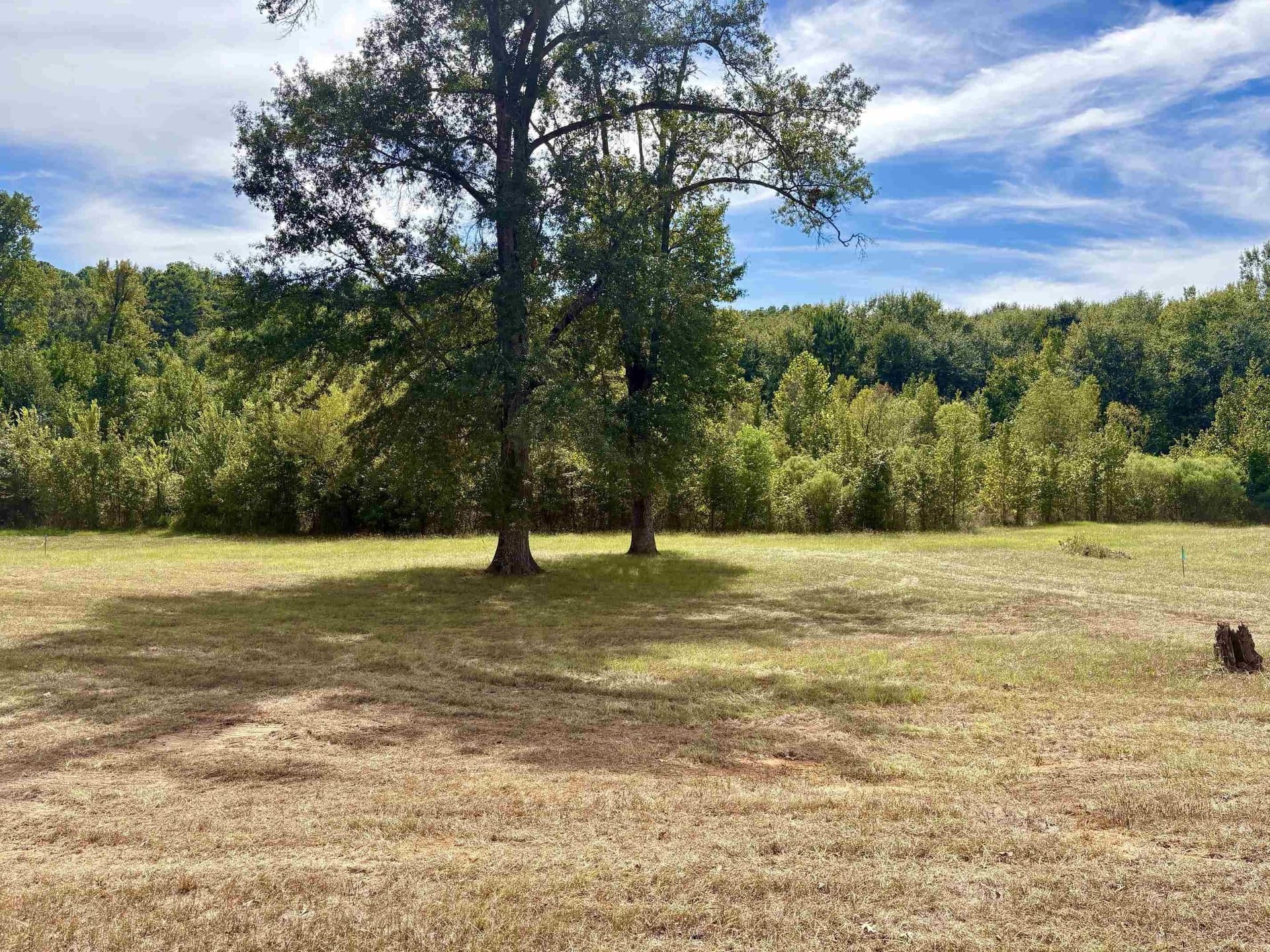 1.68 acres in Gregg County - photo 3