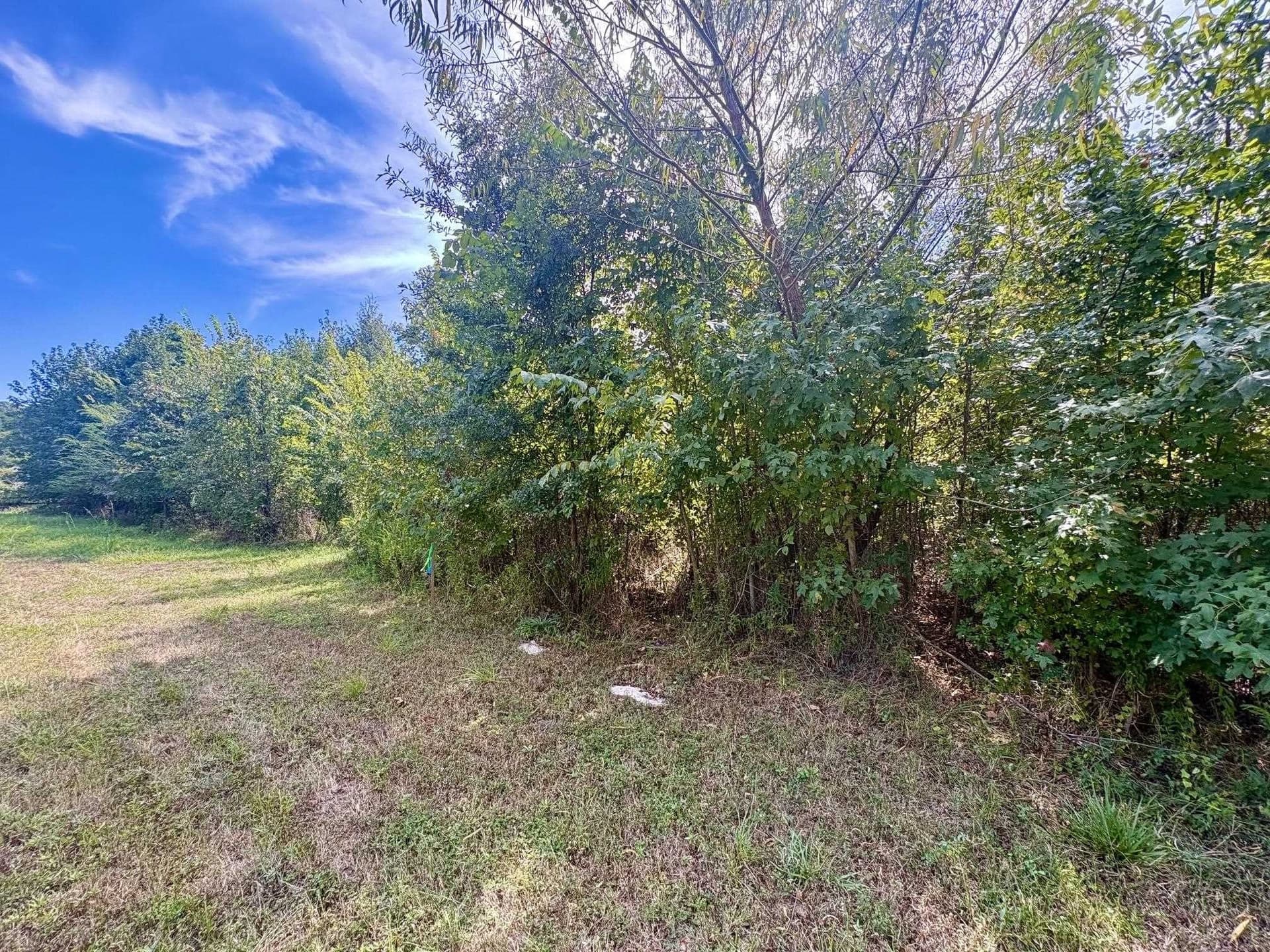 1.68 acres in Gregg County - photo 6