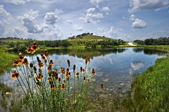 5.61 acres in Blanco County - photo 46