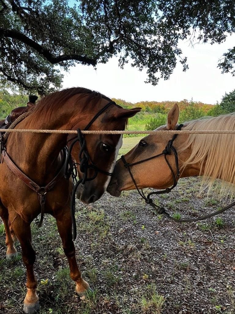5.61 acres in Blanco County - photo 44