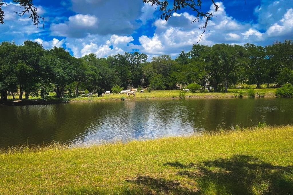 5.61 acres in Blanco County - photo 7
