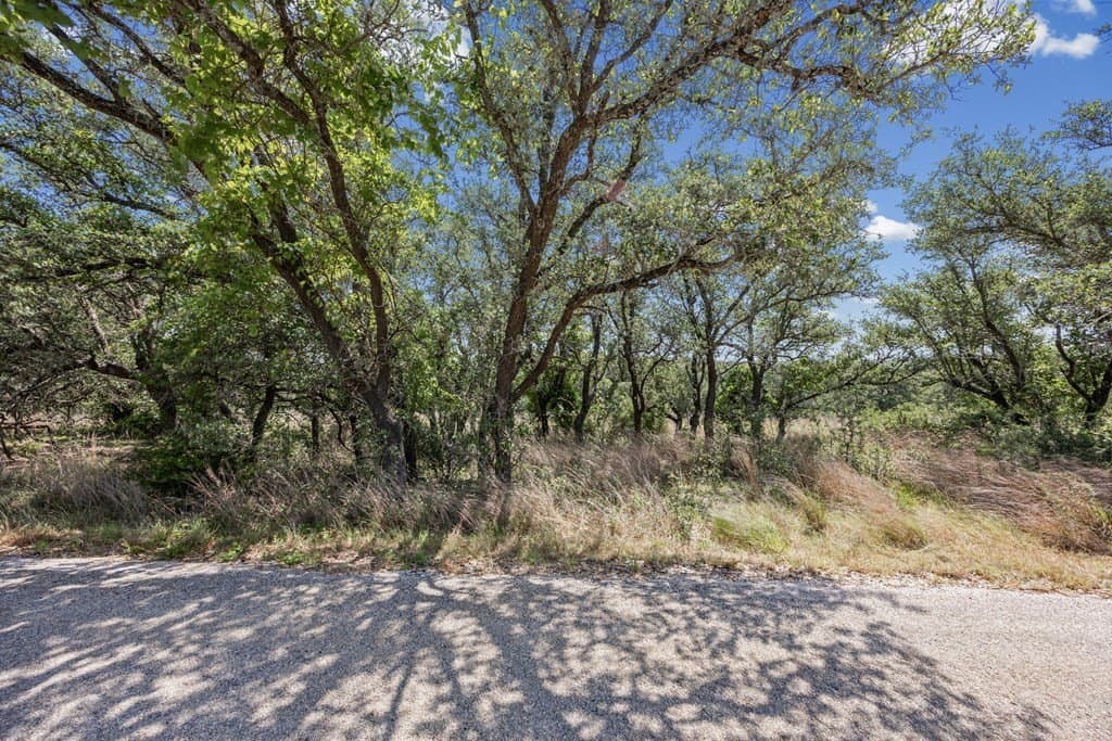 5.61 acres in Blanco County - photo 18