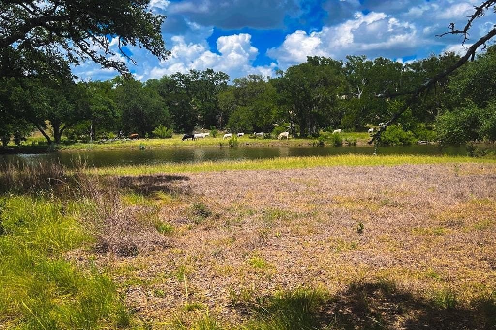 5.61 acres in Blanco County - photo 10