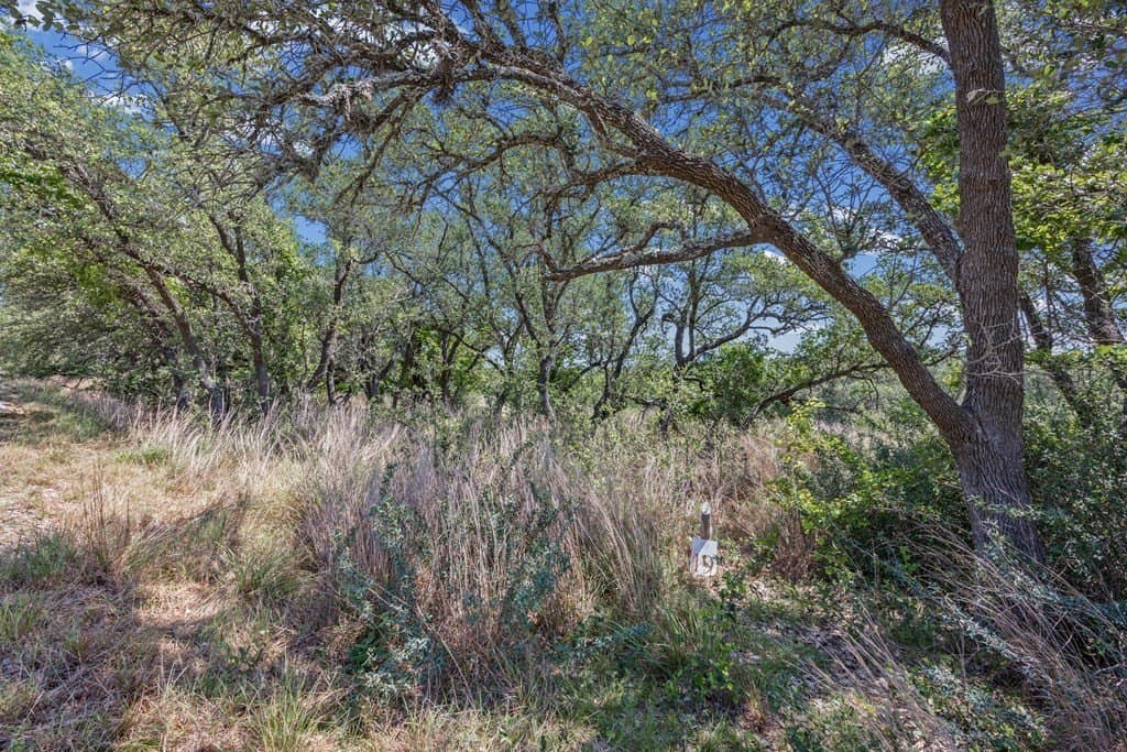 5.61 acres in Blanco County - photo 16